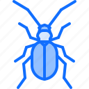 beetle, bug, insect, animal, nature