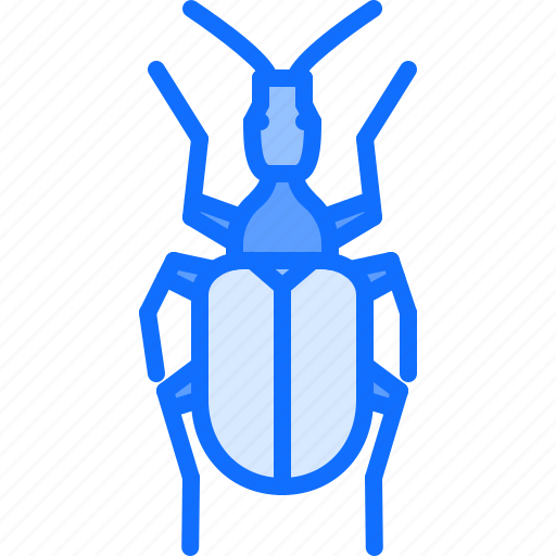 Beetle, bug, insect, animal, nature icon - Download on Iconfinder