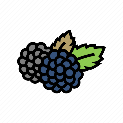 Blackberry, berry, delicious, vitamin, food, huckleberry icon - Download on Iconfinder
