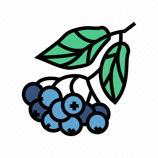 Chokeberry, berry, branch, delicious, vitamin, food icon - Download on Iconfinder