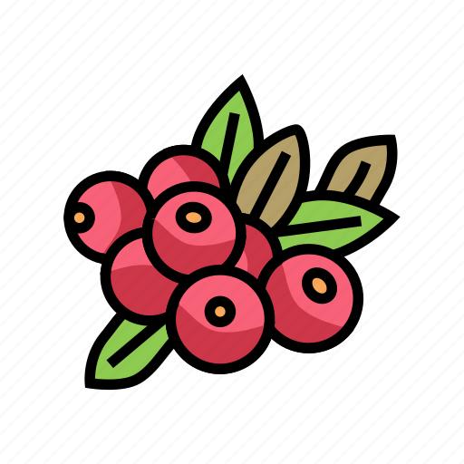 Cranberry, berry, delicious, vitamin, food, huckleberry icon - Download on Iconfinder