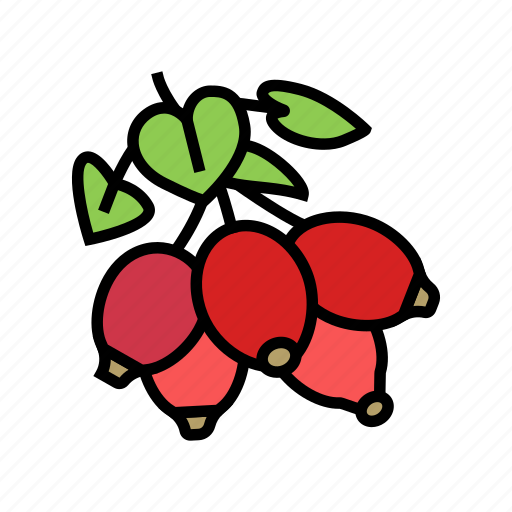Dogrose, berry, delicious, vitamin, food, huckleberry icon - Download on Iconfinder
