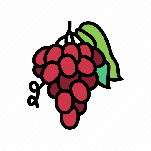 Grape, juice, berry, delicious, vitamin, food icon - Download on Iconfinder