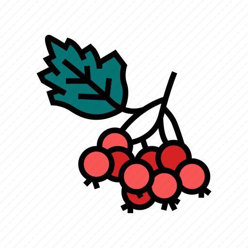 Hawthorn, berry, delicious, vitamin, food, huckleberry icon - Download on Iconfinder