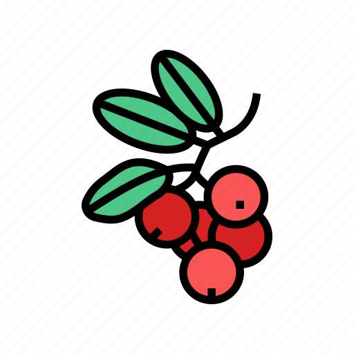 Lingonberry, berry, delicious, vitamin, food, huckleberry icon - Download on Iconfinder