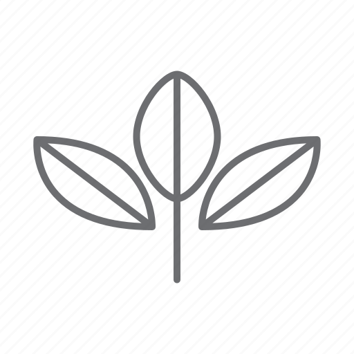 Leaves, nature, plant, tea, ecology icon - Download on Iconfinder