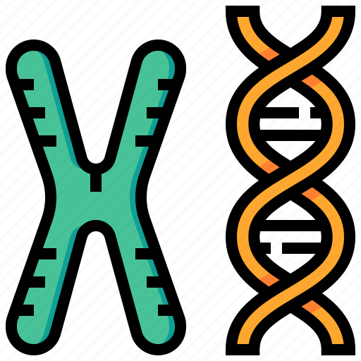 Biochemistry, biology, chemistry, chromosome, dna, science icon - Download on Iconfinder