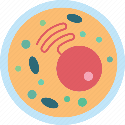 Cell, biology, structure, organelles, science icon - Download on Iconfinder