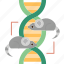 cloning, biotechnology, genetic, reproduction, experiment 