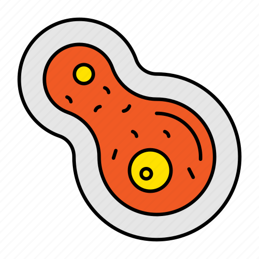 Cell, division, mitosis, nucleus, biology, meiosis icon - Download on Iconfinder