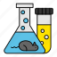 mouse, experiment, mice, rat, gmo, hormone 