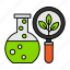 plant, plant growth, analysis, flask, analytics, magnifying glass, nature 