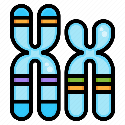 Dna, biology, chromosome, gene, genetics icon - Download on Iconfinder