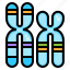 dna, biology, chromosome, gene, genetics 