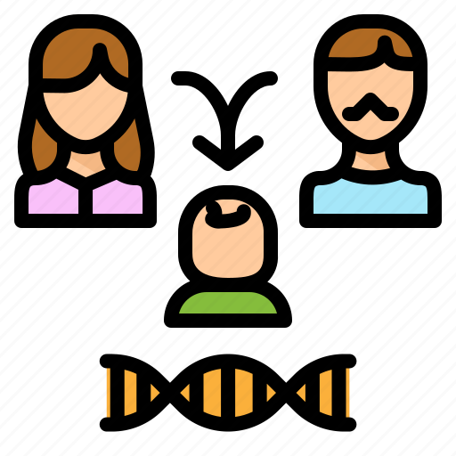 Pedigrees, biology, heredity, family, human, genetics icon - Download on Iconfinder