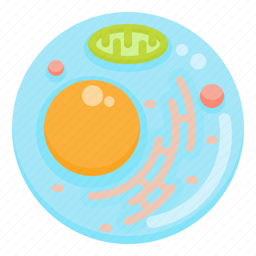 Animal, organelles, nucleus, biology, cell icon - Download on Iconfinder