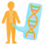 dna, biology, gene, human, genome, genetics 