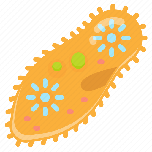 Organism, biology, paramecium, protozoa, science icon - Download on Iconfinder