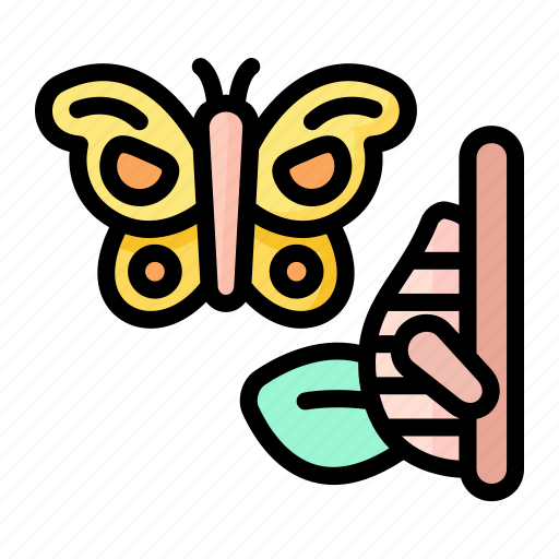 Butterfly, chrysalis, cocoon, life, cycle icon - Download on Iconfinder
