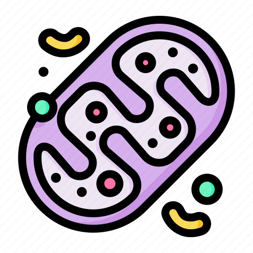 Energy, mitochondria, biology, cell, atp icon - Download on Iconfinder