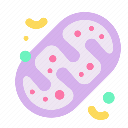 Energy, mitochondria, biology, cell, atp icon - Download on Iconfinder