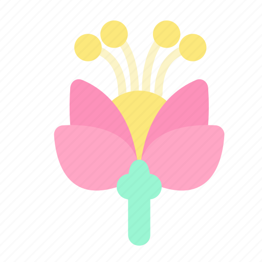 Flower, morphology, ovule, pollen, reproductive icon - Download on Iconfinder