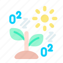 sprout, plant, sun, photosynthesis, gardening