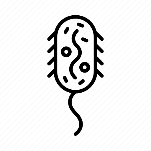 Prokaryotic, cell, biology, structure, anatomy, science, education icon - Download on Iconfinder