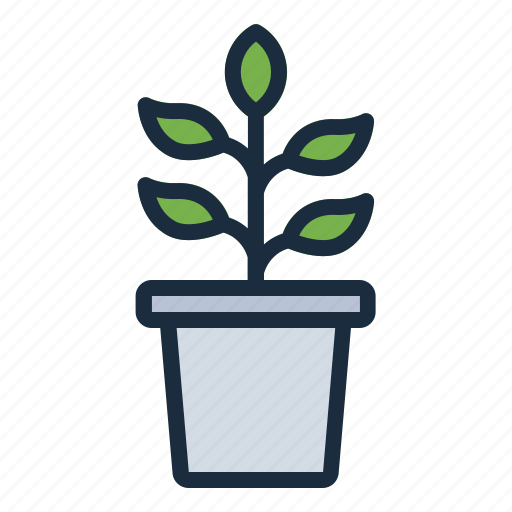 Plant, grow, nature, potted plant icon - Download on Iconfinder
