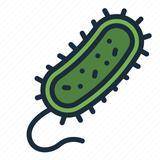 Prokaryote, bacteria, biology, cell, education, science icon - Download on Iconfinder