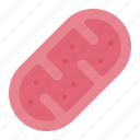 mitochondrion, mitochondria, cell, biology, education, science