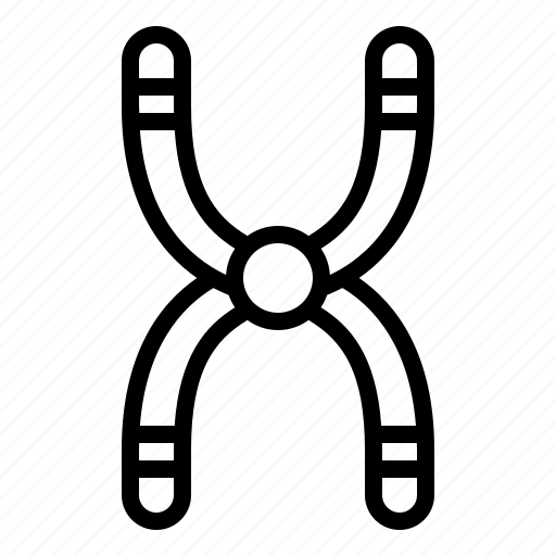Chromosome, cell, biology, education, science icon - Download on Iconfinder
