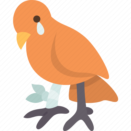 Bird, injured, sick, rehabilitation, recovery icon - Download on Iconfinder