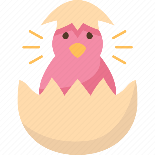 Hatching, egg, bird, chick, life icon - Download on Iconfinder