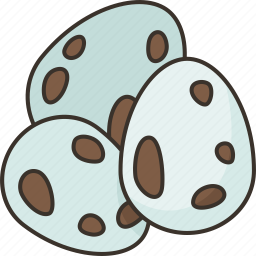 Eggs, bird, life, birth, easter icon - Download on Iconfinder