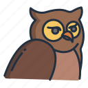 owl 