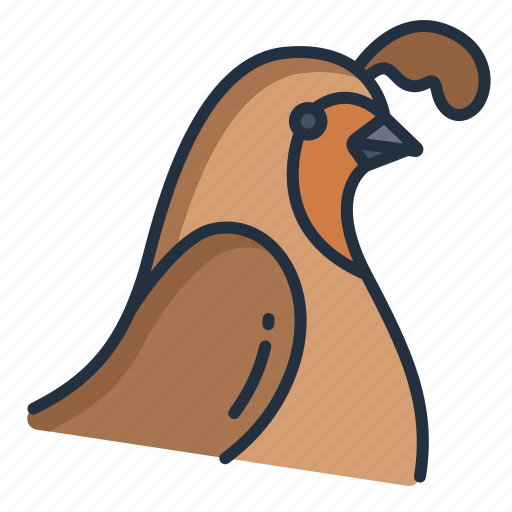Quail icon - Download on Iconfinder on Iconfinder