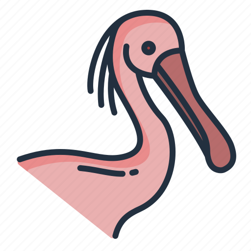 Spoonbill icon - Download on Iconfinder on Iconfinder