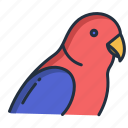 parrot2 