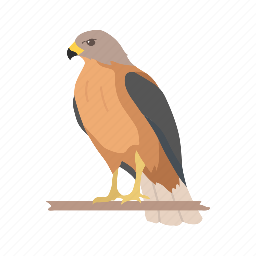 Animal, bird, duck hawk, fish hawk, goshawk, hawk icon - Download on Iconfinder