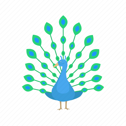 Animal, bird, cover feather, indian peacock, pavo, peacock, peafowl icon - Download on Iconfinder