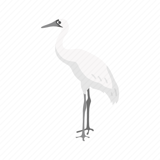 Animal, beak, bird, feather, stork, wading bird, wood stork icon - Download on Iconfinder