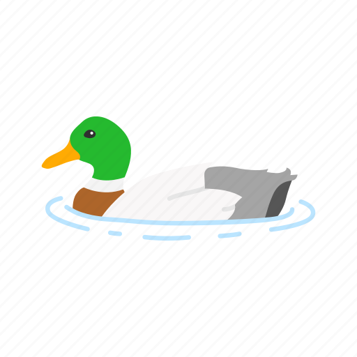 Animal, aquatic bird, bird, waterbird, waterfowl, webbed feet icon - Download on Iconfinder