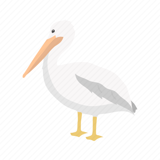 Animal, bird, duck, pelican, rosy pelican, water bird, webbed feet icon - Download on Iconfinder
