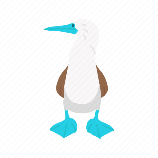 Animal, bird, blue feet, blue-footed booby, booby, flipper bird, marine bird icon - Download on Iconfinder