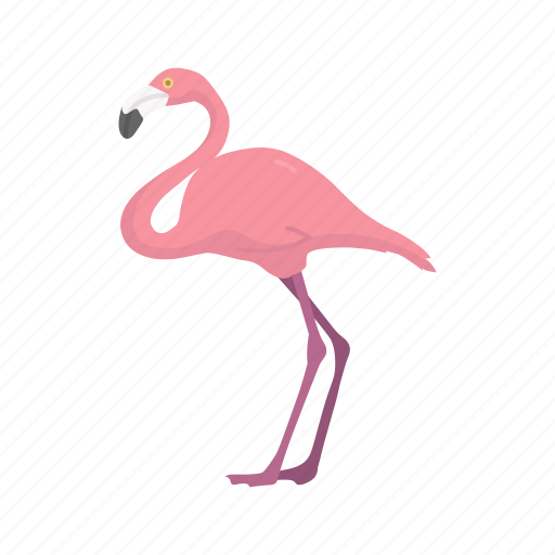 American flamingo, animal, bird, feather, flamingo, wading bird, waterfowl icon - Download on Iconfinder