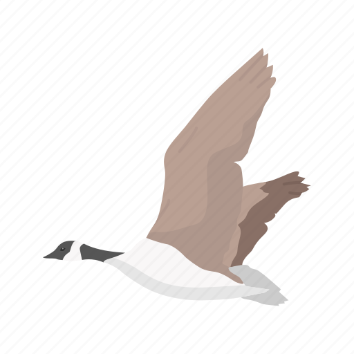 Animal, bird, canada pose, feather, goose, water bird, waterfowl icon - Download on Iconfinder
