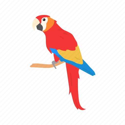 Animal, bird, flying creature, macaw, pet, pet vertebrates icon - Download on Iconfinder