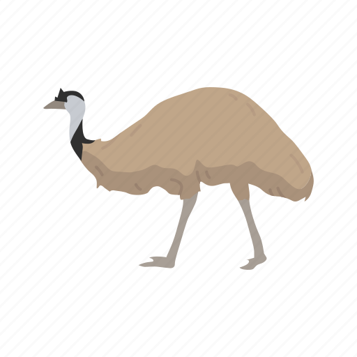 Animal, beak, bird, emu, flightless bird, mainland bird, tasmanian emu icon - Download on Iconfinder