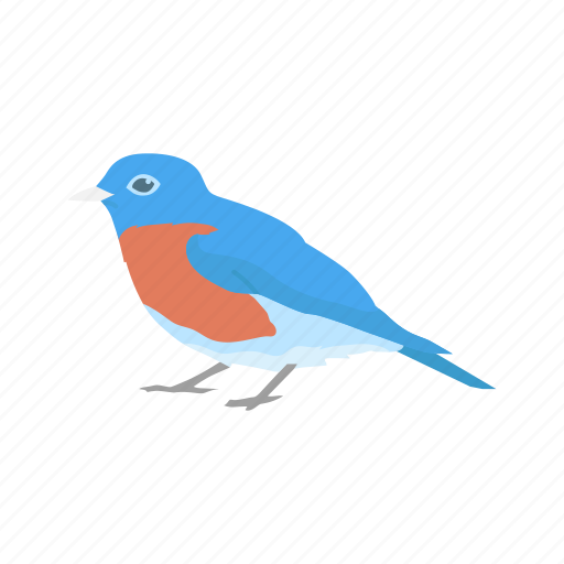 Animal, bird, blue bird, eastern bluebird, flying creature, vertebrates icon - Download on Iconfinder